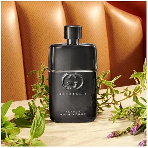 gucci matching top and bottom chili peppers|Gucci Men's Guilty Pour Homme Eau de Parfum Fragrance .